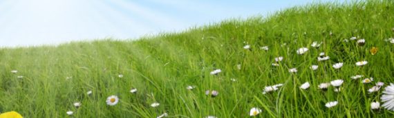 5 chemins pour entrer dans la magie de l’intuition