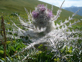 Mal-ëtre et ProblèmesBenjamin Legrain @ Flickr