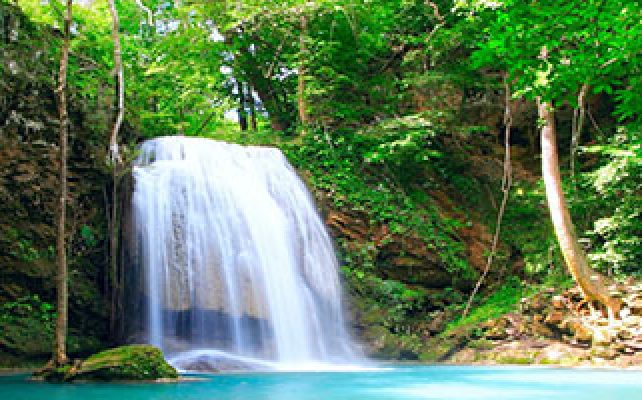 *INTUITION* Une méditation guidée : la cascade régénératrice