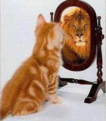 je veux être un lion