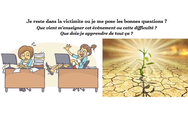 *STRESS* Les difficultés peuvent devenir vos maitres VRAI ou FAUX