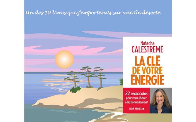 *STRESS* la clé de votre énergie par Natacha Calestrémé