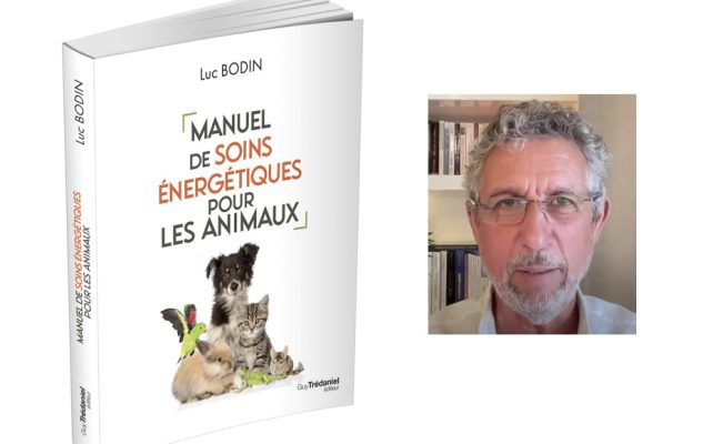 Soulager nos amies les bêtes avec des soins énergétiques